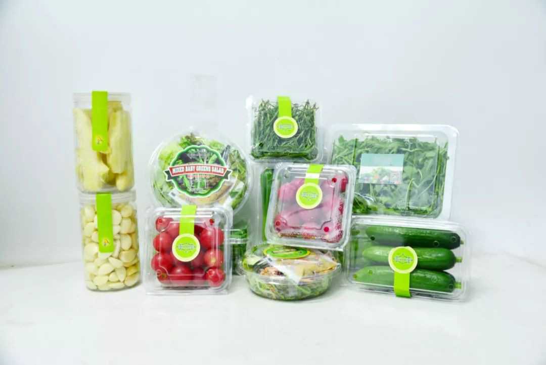 智能包裝革新者——全自動盒式灌裝封口系統(tǒng)賦能現(xiàn)代化生產(chǎn)線