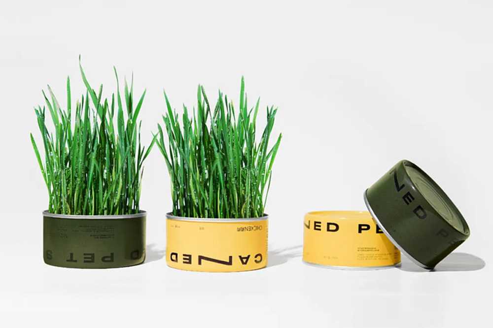 智造綠色活力，賦能高效未來——呂工機械全自動杯裝貓草生產(chǎn)線